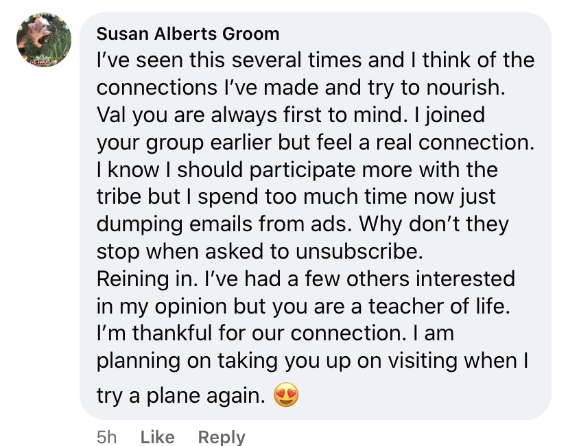 Susan Groom Testimonial